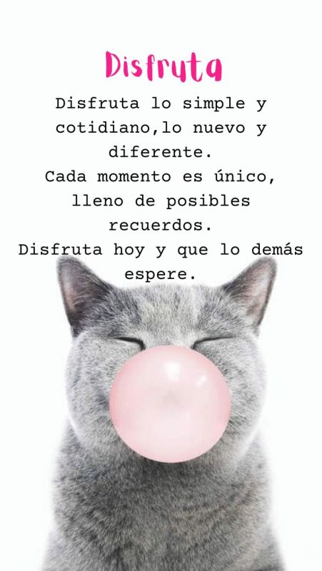 disfruta hoy y que lo demas espere.jpg